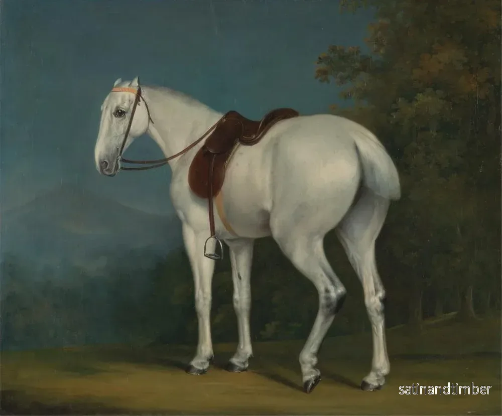 Reproduktion av målningen En grå häst av dam - Jacques-Laurent Agasse - Bild 2