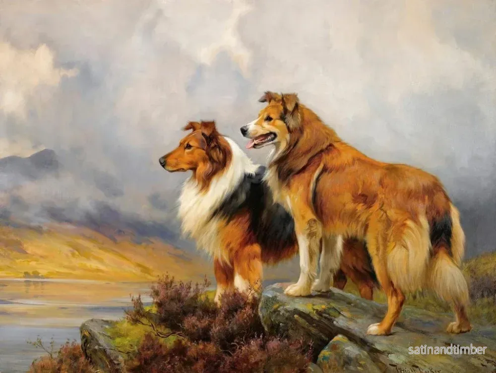 Reproduktion av målningen Deux colleys au-dessus d'un lac - Wright Barker - Bild 2