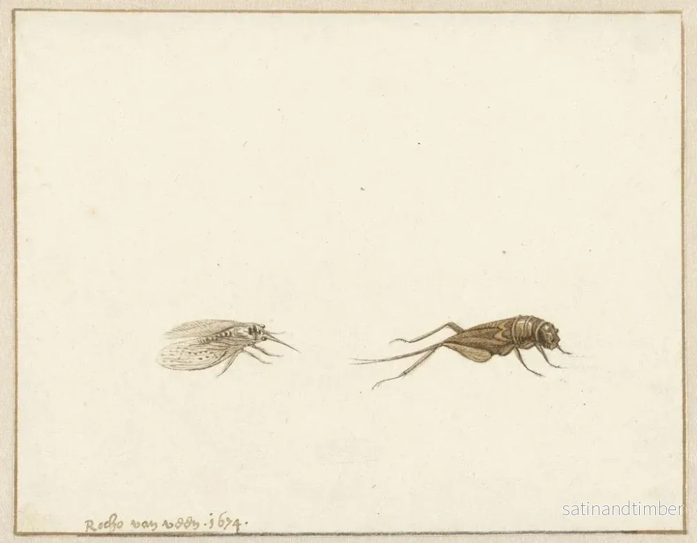 Reproduktion av målningen Två insekter - Gerardus van Veen - Bild 2