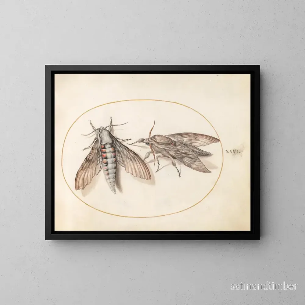Reproduktion av målningen Platine 26 Två sphinxar - Joris Hoefnagel