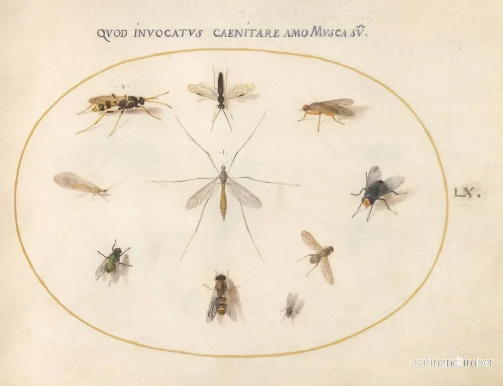 Reproduktion av målningen av växt 60 flugor och andra insekter - Joris Hoefnagel - Bild 2