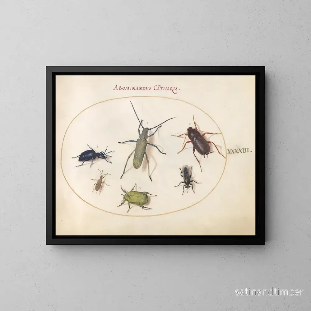 Reproduktion av målningen Planche 43: Skarabé musqué, skarabé oljig, skarabé av tisteln, kackerlacka, bladfoting mygga och andra insekter - Joris Hoefnagel