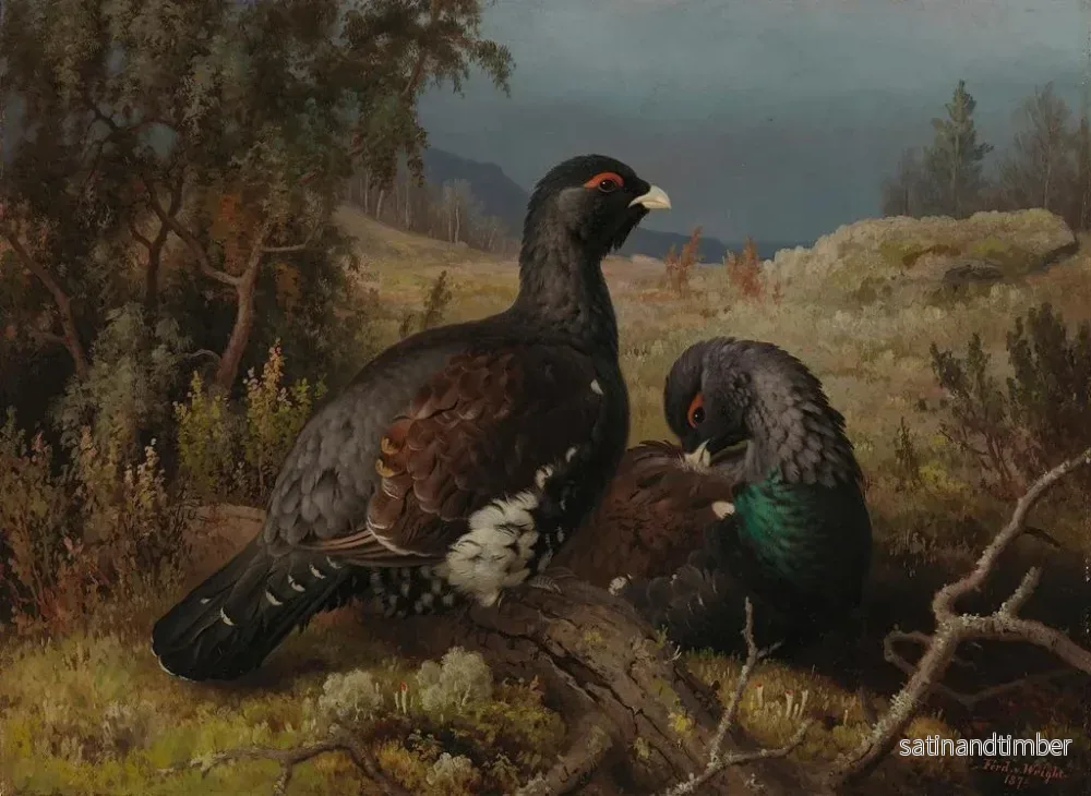 Reproduktion av målningen Coqs de grand tétras - Ferdinand von Wright - Bild 2