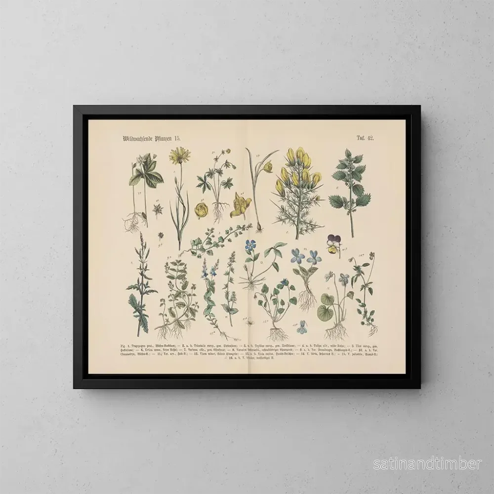 Reproduktion av målningen Manuel de botanique pratique en mots et en images Pl42 - Carl Hoffmann