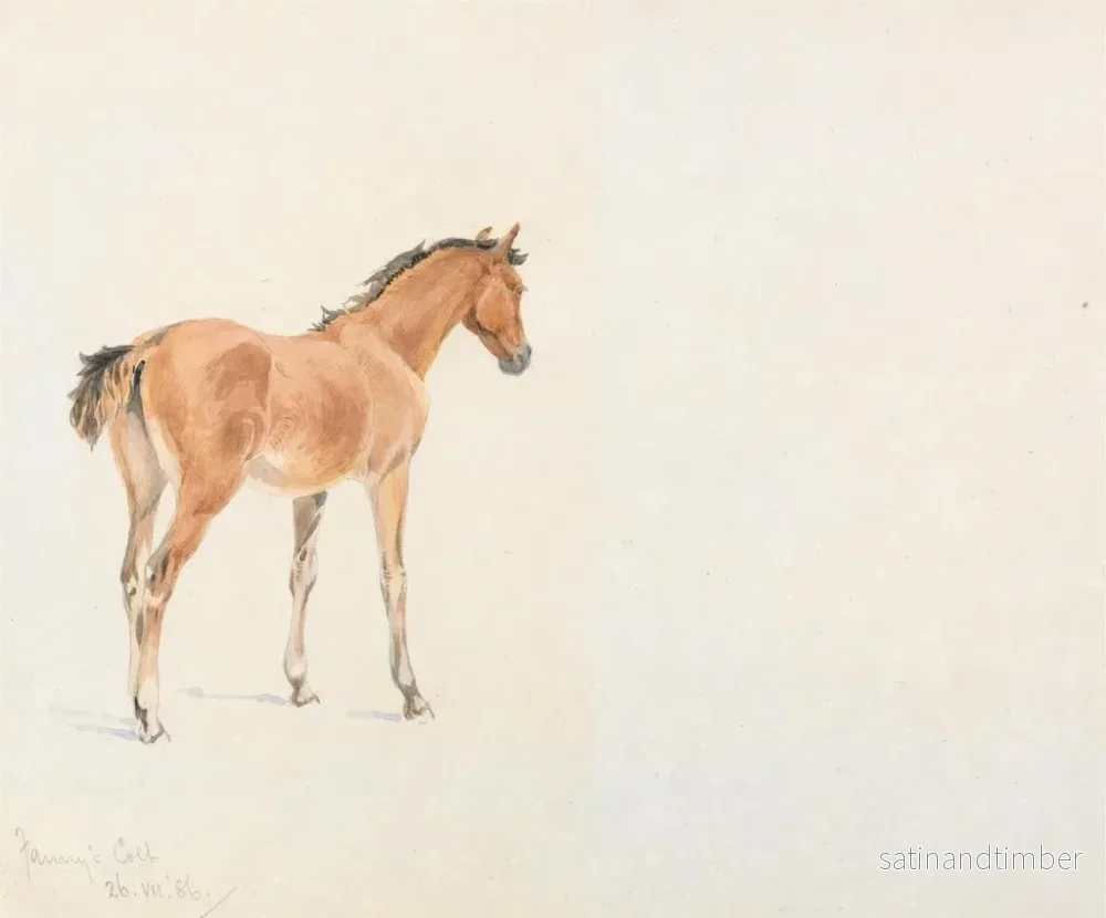 Reproduktion av målningen Le poulain de Fanny, 26 juli 1886 - John Frederick Tayler - Bild 2