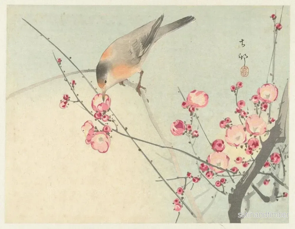 Reproduktion av målningen av fågelsångare på en blommande gren - Ohara Koson - Bild 2