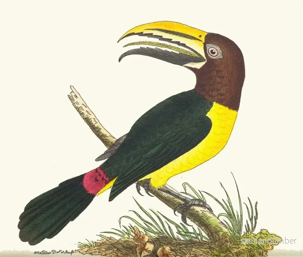 Reproduktion av målningen Toucan grön - George Shaw - Bild 2