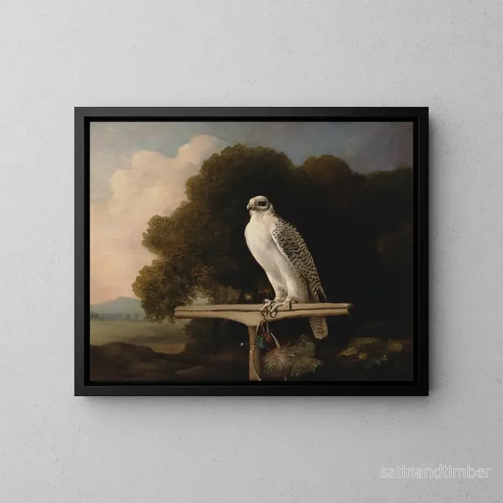 Reproduktion av målningen Faucon du Groenland - George Stubbs