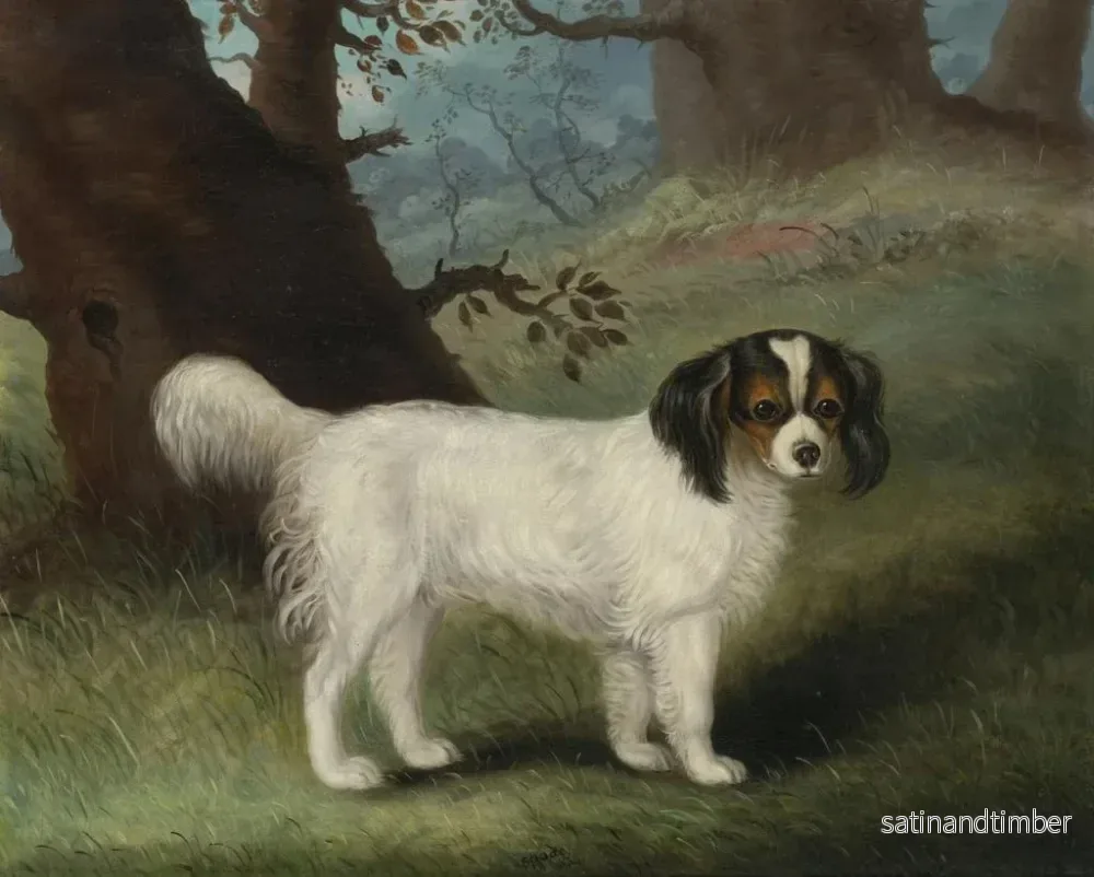 Reproduktion av målningen King Charles Spaniel - Samuel Spode - Bild 2