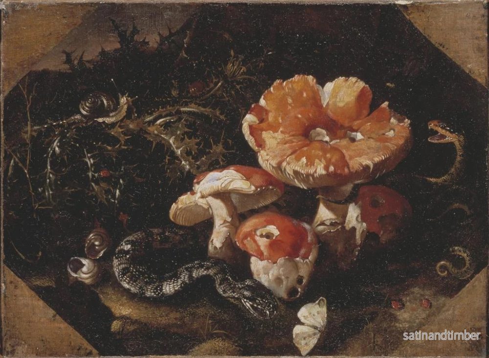 Reproduktion av målningen Serpents, amaniter och korgblommiga - Paolo Porpora - Bild 2
