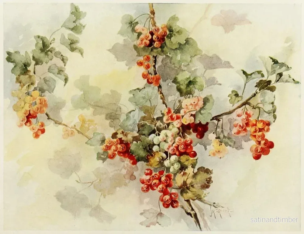 Reproduktion av målningen Groselles - Jeanne M. Stewart - Bild 2