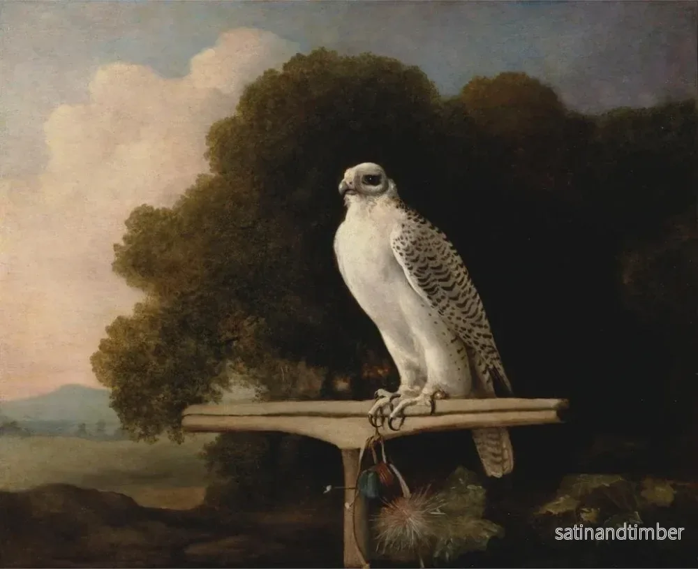 Reproduktion av målningen Faucon du Groenland - George Stubbs - Bild 2
