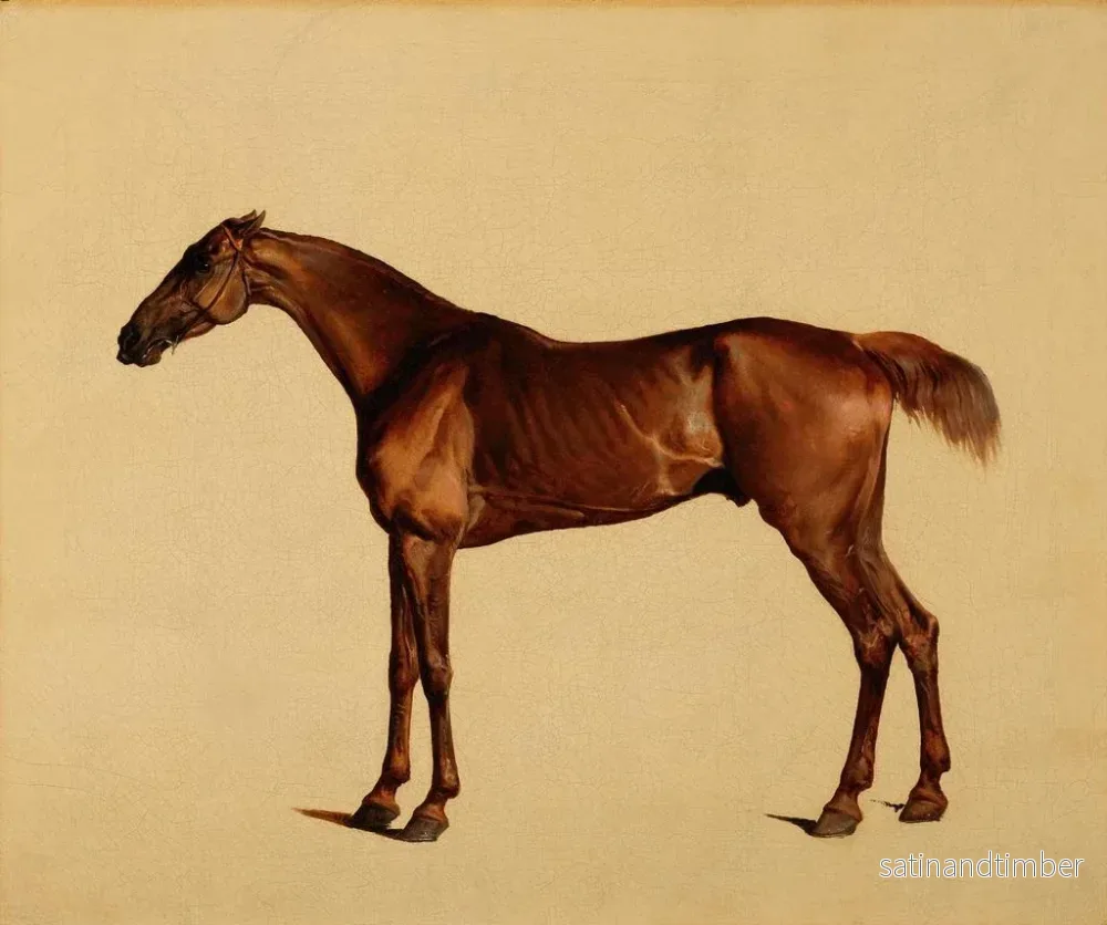 Reproduktion av målningen Pangloss - George Stubbs - Bild 2