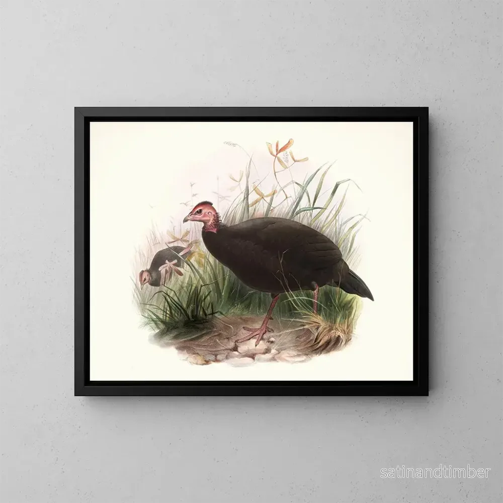 Reproduktion av målningen Phasidus Niger - Joseph Smit