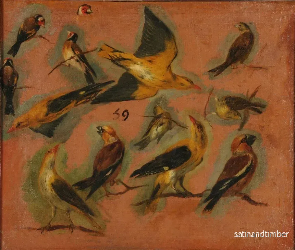 Reproduktion av målningen Chardonnerets fåglar - Pieter Boel - Bild 2