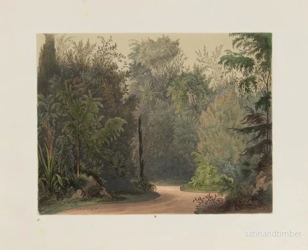 Reproduktion Le jardin d'hiver dans la Hofburg – Franz Antoine — plansch 03 - Bild 2