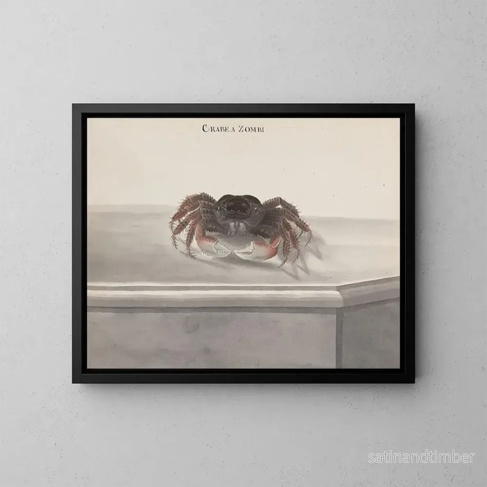 Reproduktion av målningen Histoire naturelle de Saint-Domingue Pl130 - René de Rabi