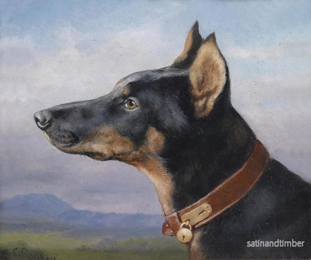 Reproduktion av målningen porträtt av en Doberman - Carl Reichert - Bild 2