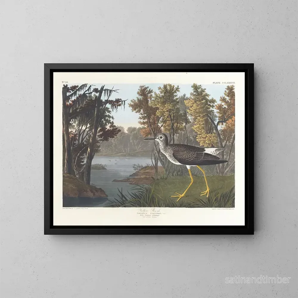 Reproduktion av målningen Pied jaune - John James Audubon