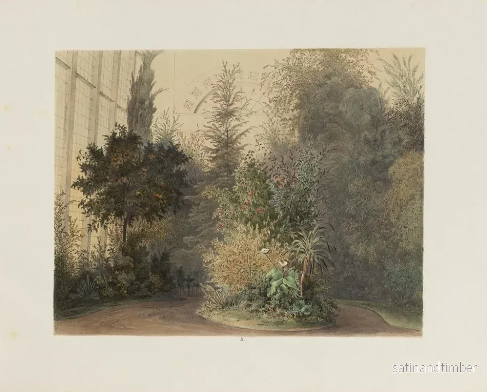 Reproduktion av målningen Le jardin d'hiver dans la Hofburg impériale et royale de Vienne Pl10 - Franz Antoine - Bild 2