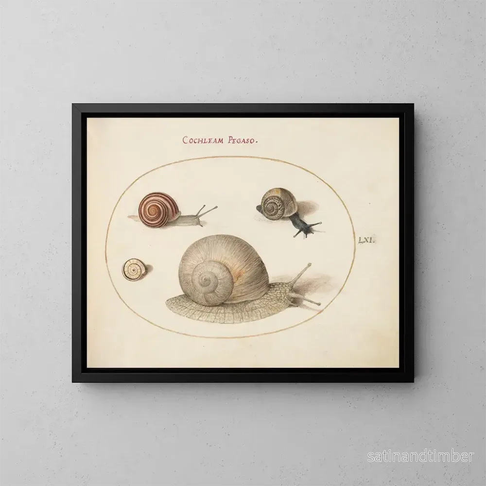 Reproduktion av målningen Quatre escargots - Joris Hoefnagel
