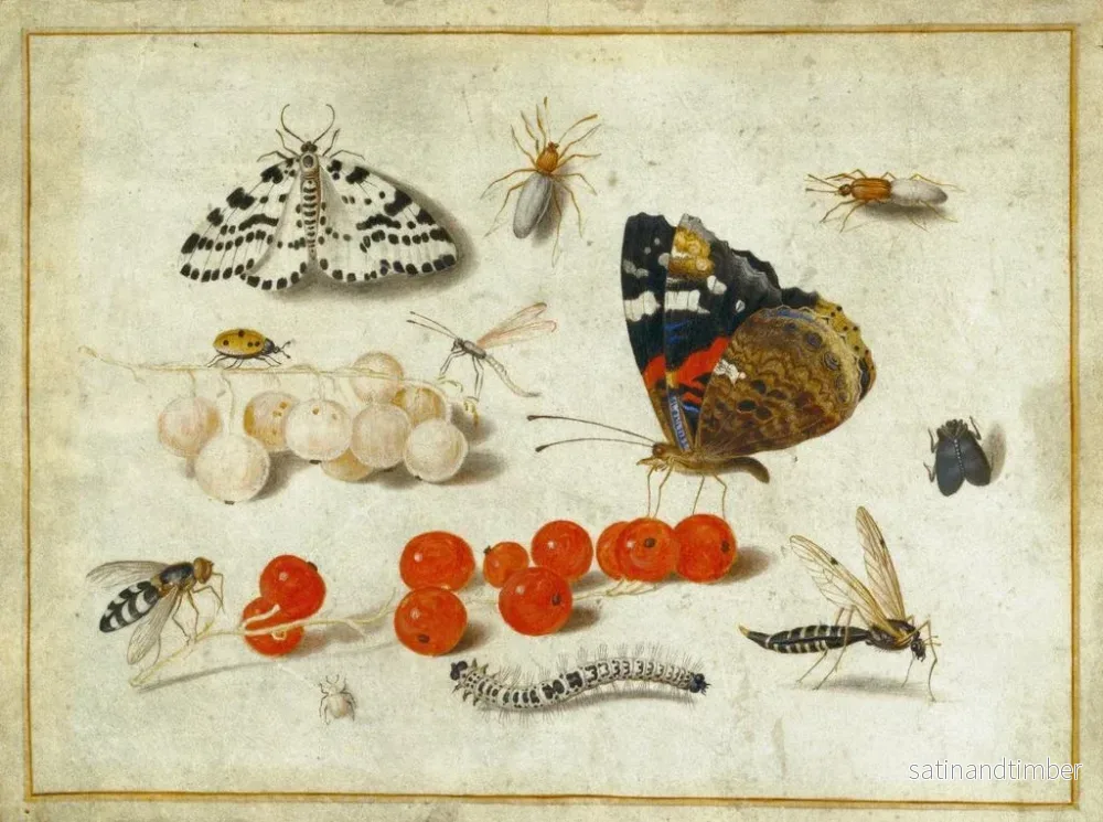 Reproduktion av målningen Papillon, larv, kvalster, insekter och vinbär - Jan van Kessel den yngre - Bild 2