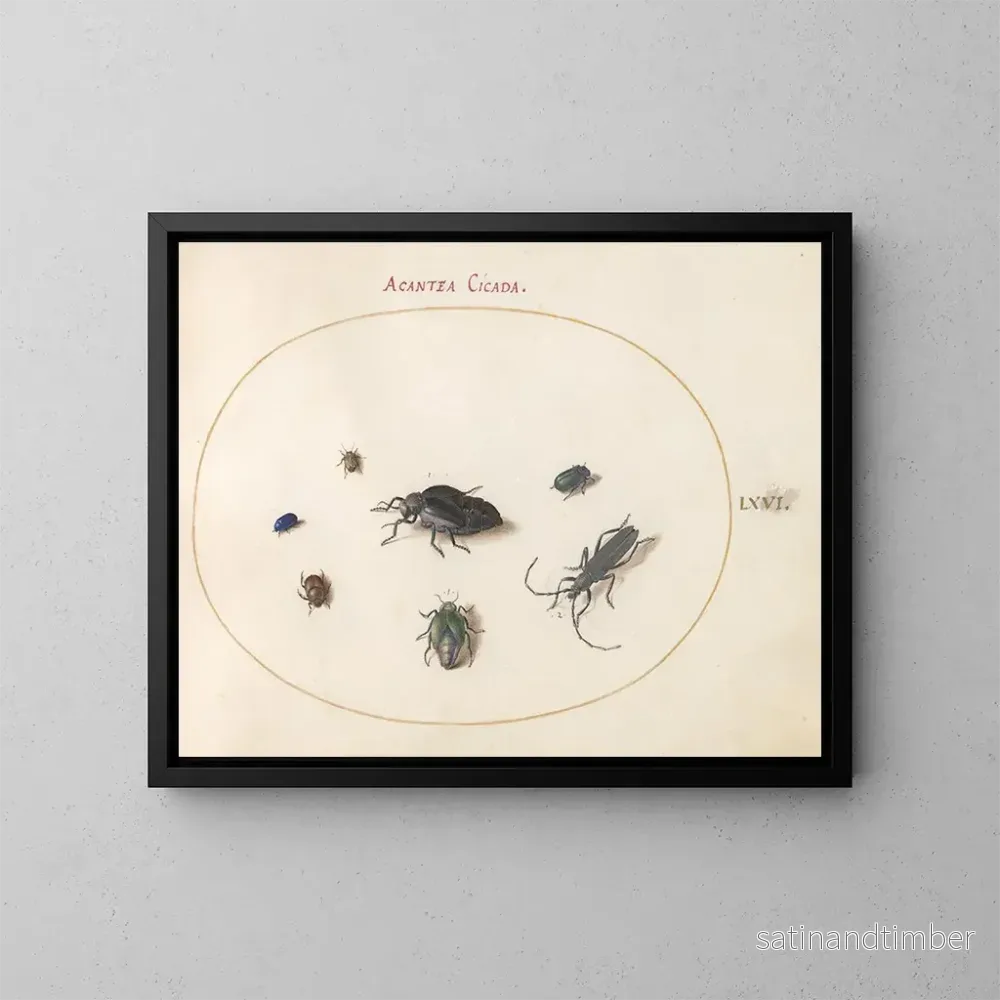 Reproduktion av målningen Platine 66 Två oljiga skalbaggar, en långhorning och fyra andra insekter - Joris Hoefnagel