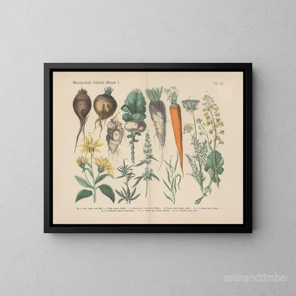 Reproduktion av målningen Manuel de botanique pratique en mots et en images Pl14 - Carl Hoffmann