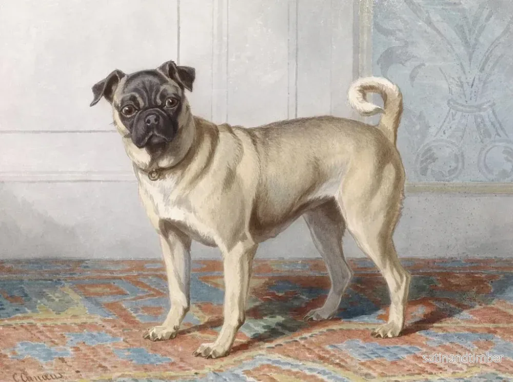 Reproduktion av målningen porträtt av bulldoggen Edwin vom Rath - Conradijn Cunaeus - Bild 2