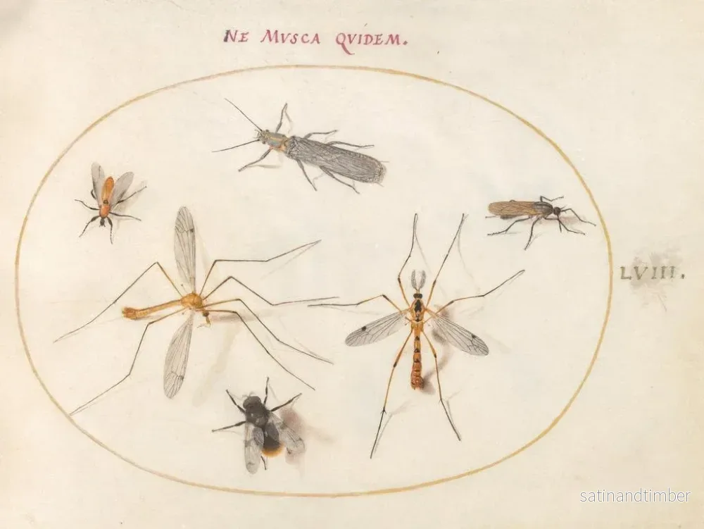 Reproduktion av målningen Platine 58 En bi och fem andra insekter - Joris Hoefnagel - Bild 2