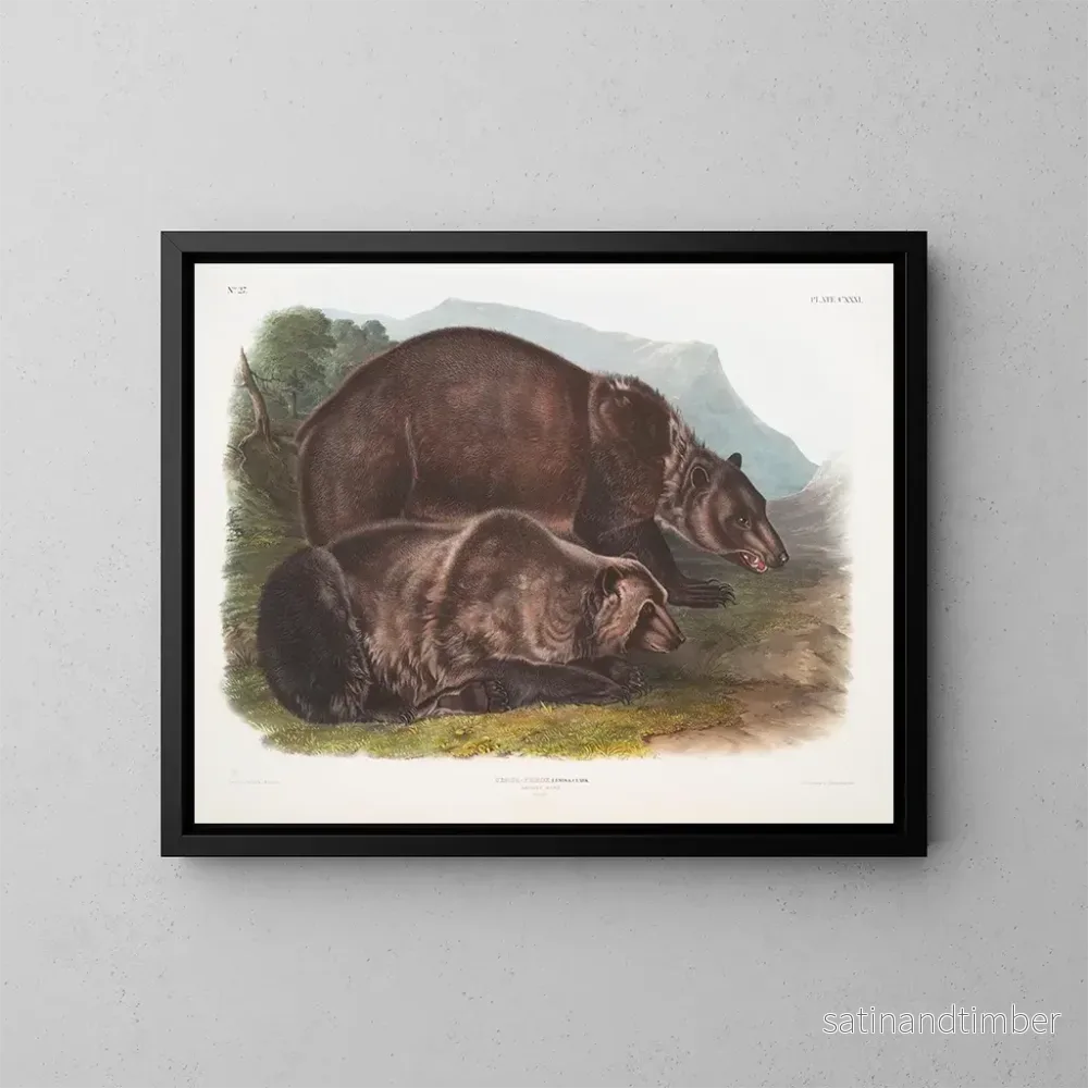 Reproduktion av målningen av den manliga grizzlybjörnen - John Woodhouse Audubon