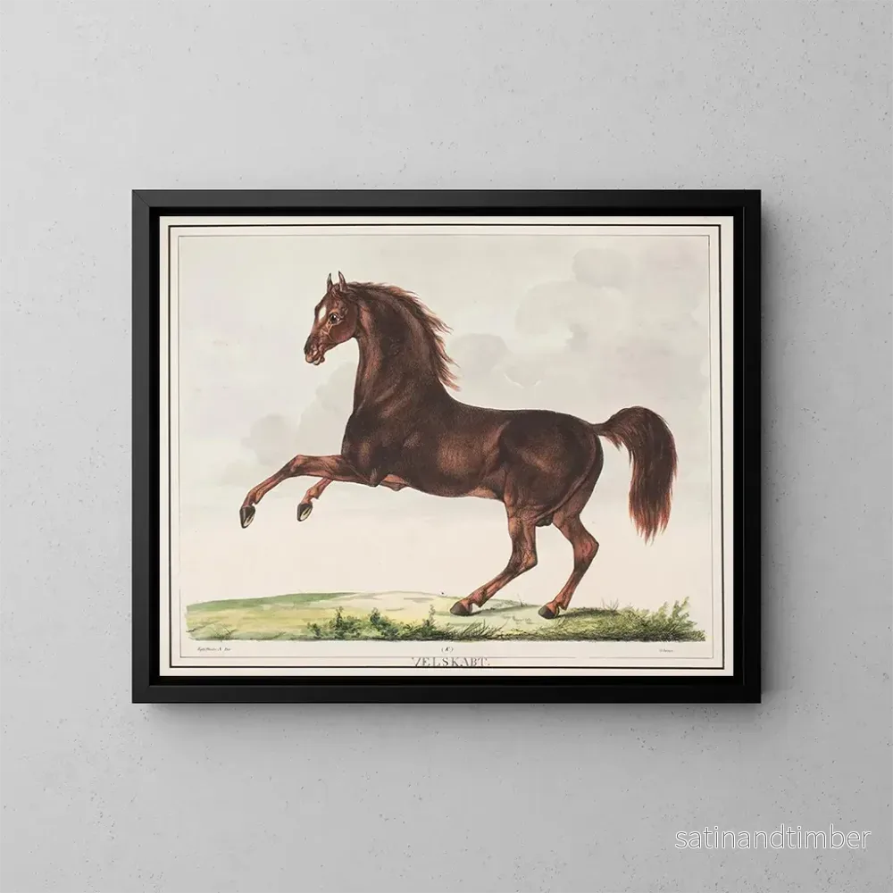 Reproduktion av målningen Le cheval bien formé - Christian David Gebauer