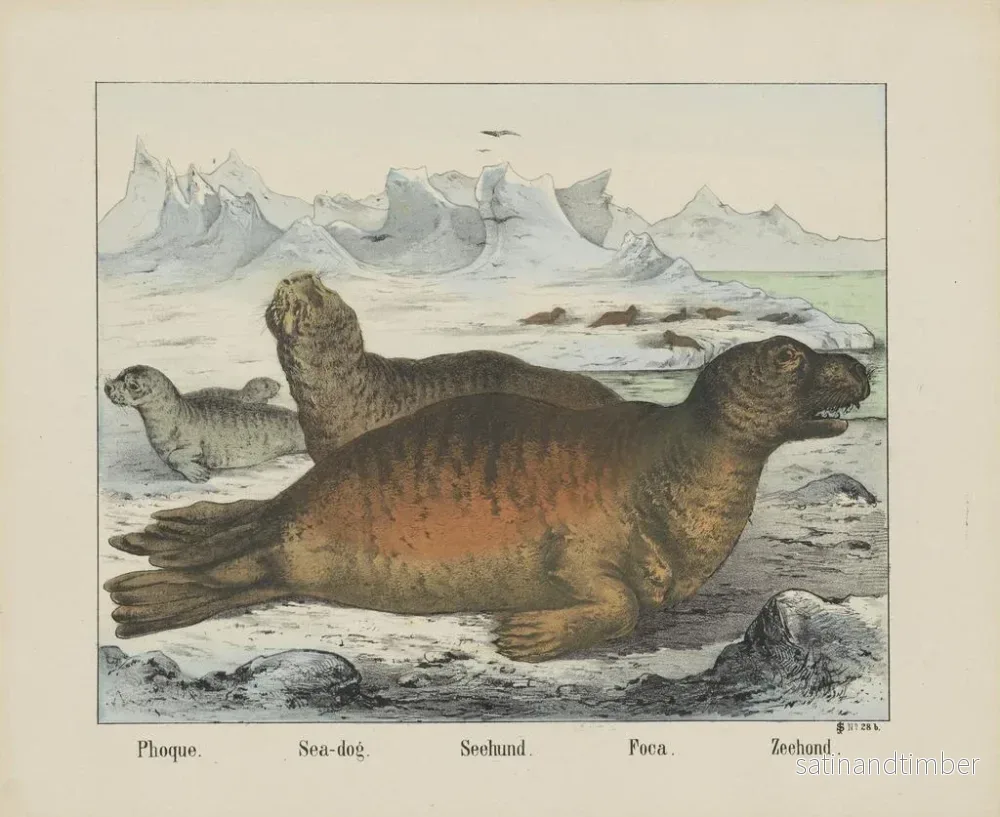 Reproduktion av målningen Hund av havet - Joseph Scholz - Bild 2