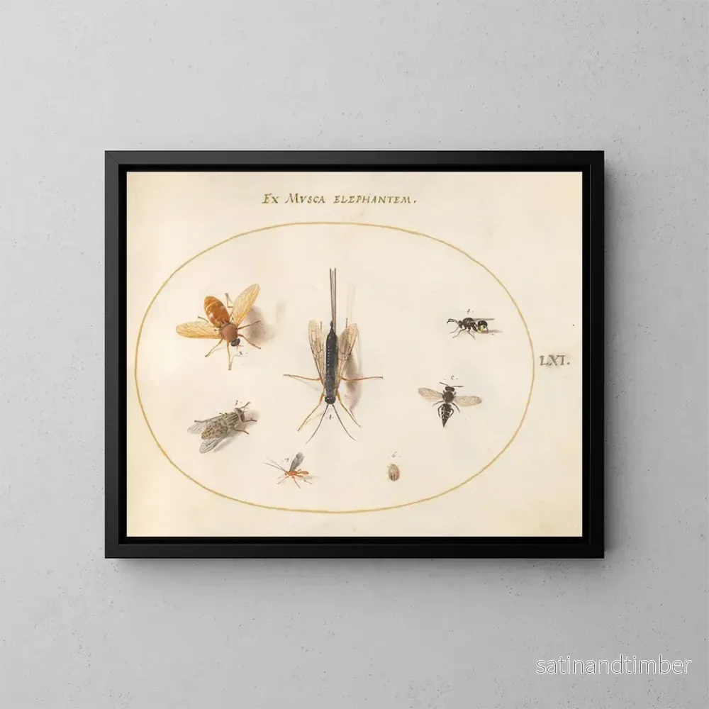 Reproduktion av målningen Platina 61 Sept insekter inklusive flugor - Joris Hoefnagel