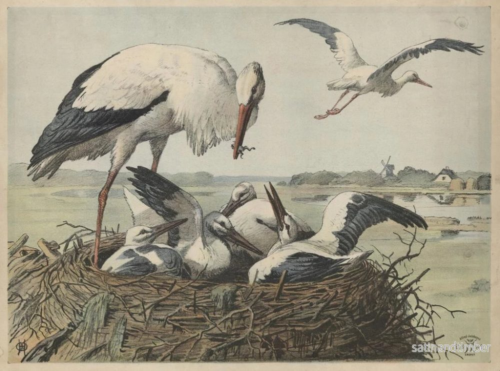 Reproduktion av målningen Svan - Oluf August Hermansen - Bild 2