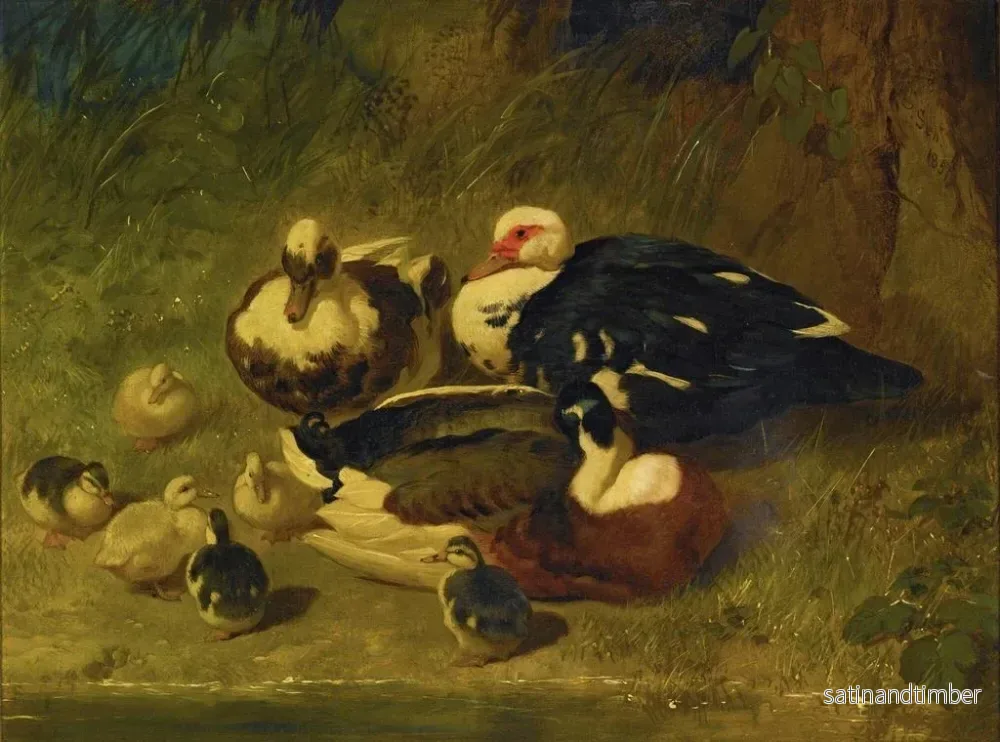 Reproduktion av målningen av Moskvaand och andungar - John Frederick Herring l'Ancien - Bild 2