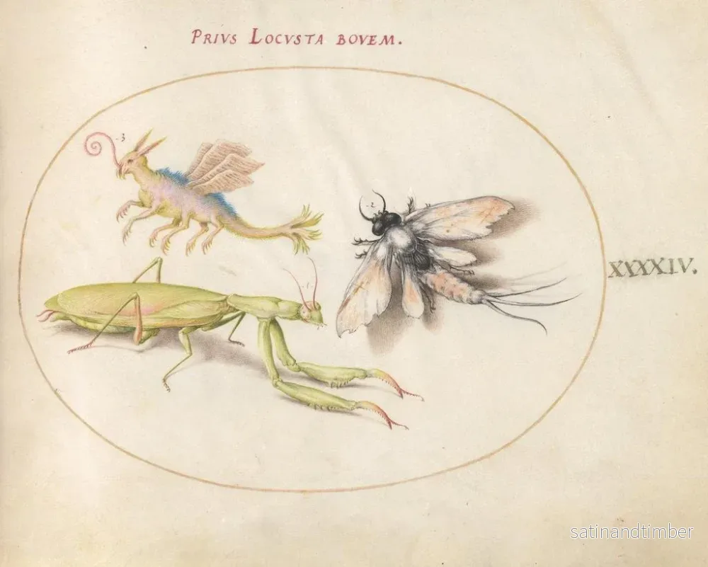 Reproduktion av målningen Platine 44 Mante, Éphémère et un Locuste Fictionnel - Joris Hoefnagel - Bild 2
