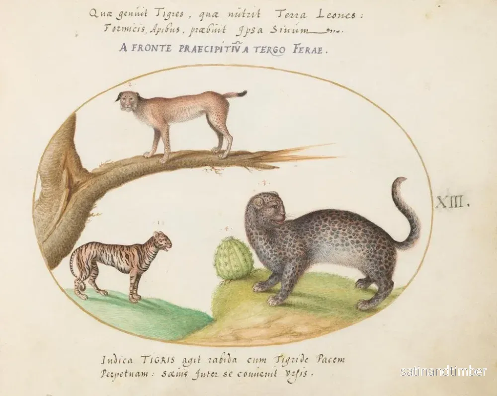 Reproduktion av målningen En tiger, en lodjur och en jaguar - Joris Hoefnagel - Bild 2