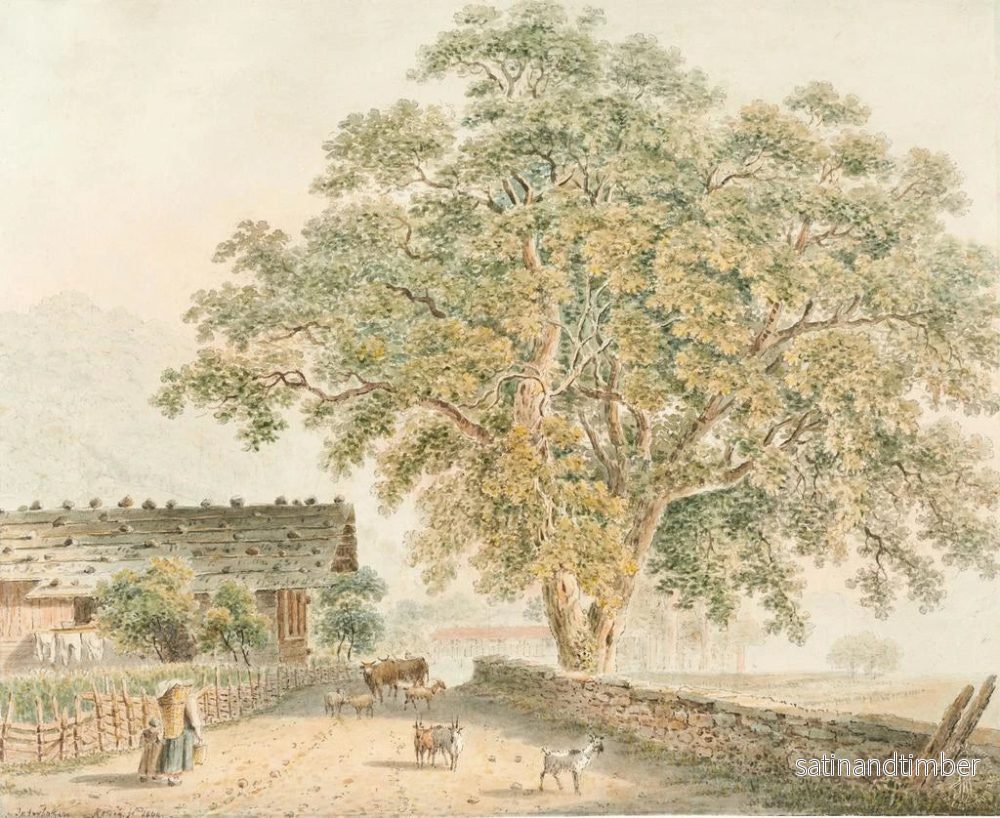 Reproduktion av målningen Interlaken - Franz Niklaus König - Bild 2