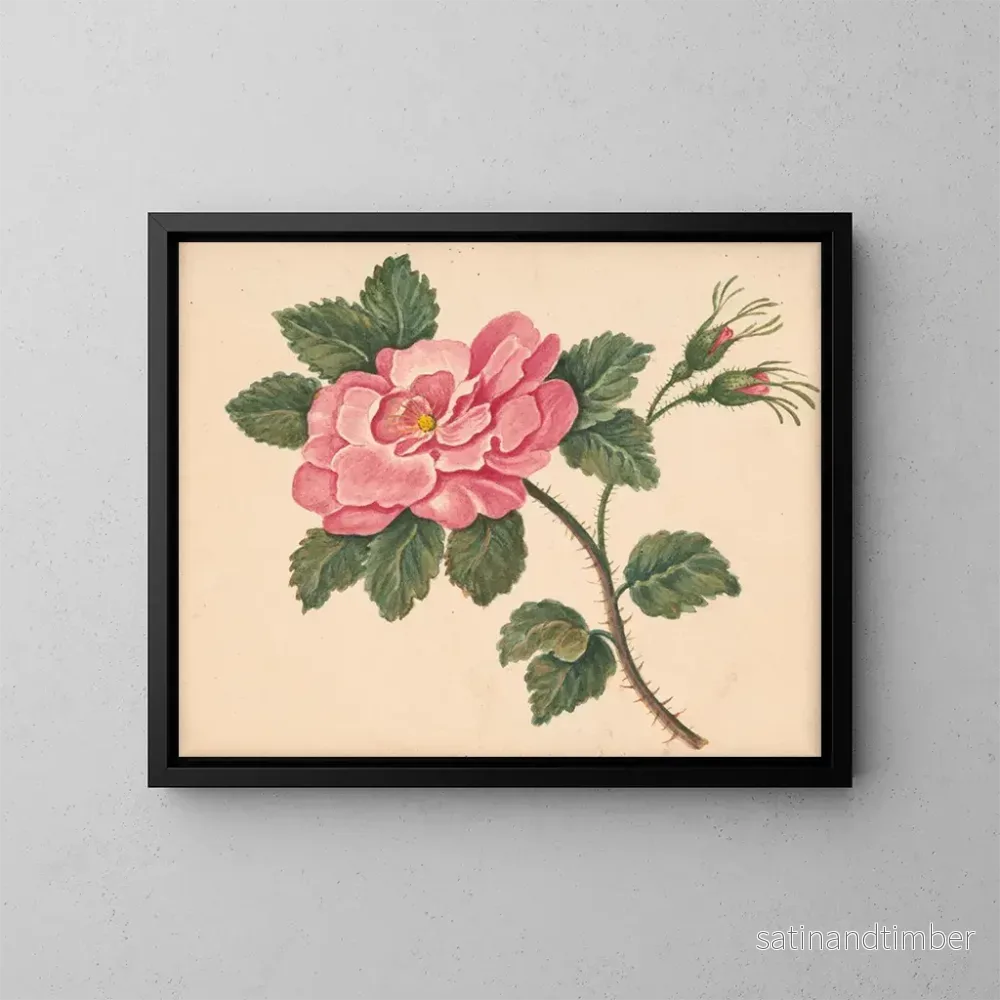 Reproduktion av målningen Rose sur une tige avec des feuilles et des boutons non ouverts – William Wood Thackara Reproduktion av målningen Rose sur une tige avec des feuilles et des boutons non ouverts – William Wood Thackara