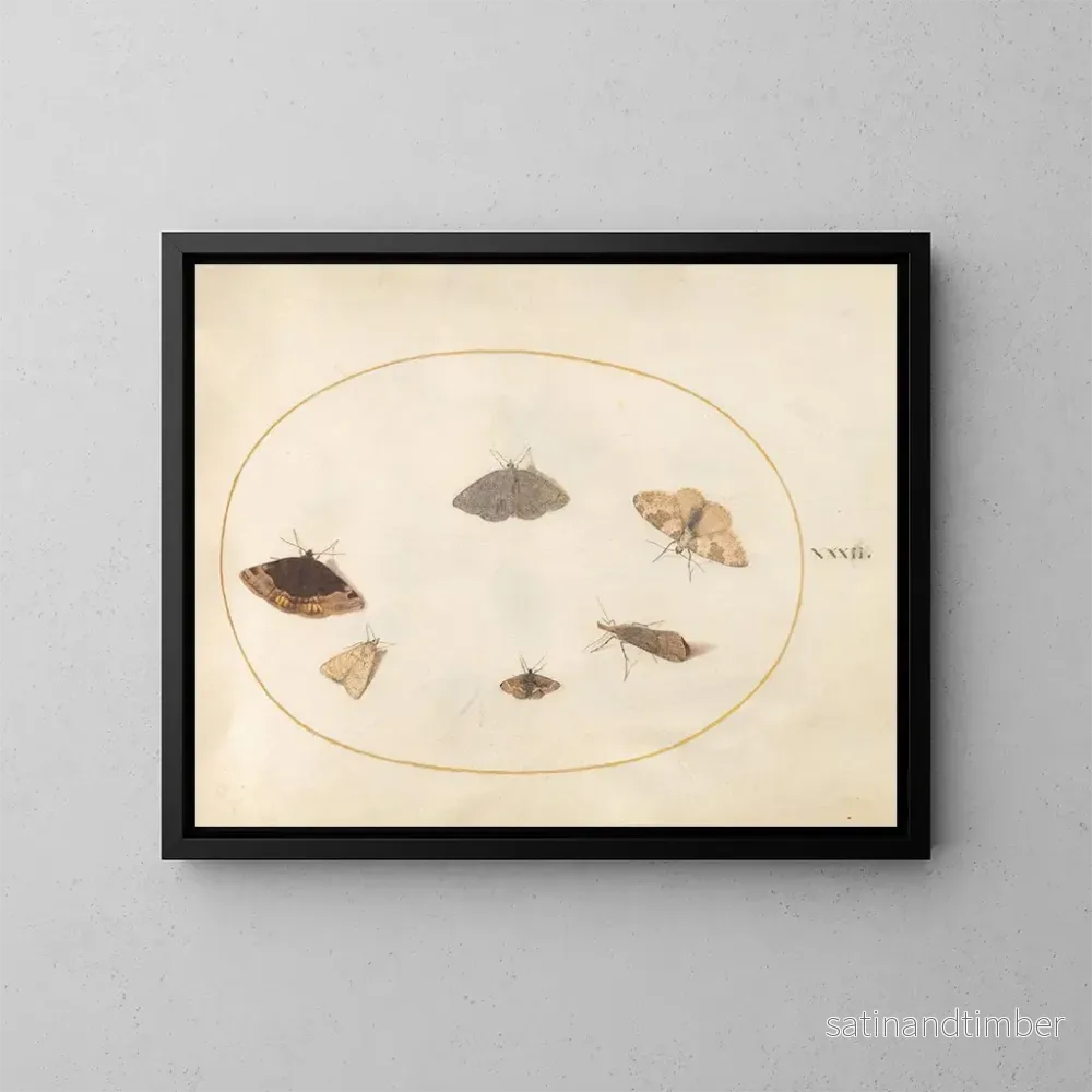 Reproduktion av målningen Platine 32 Six Papillons de Nuit - Joris Hoefnagel