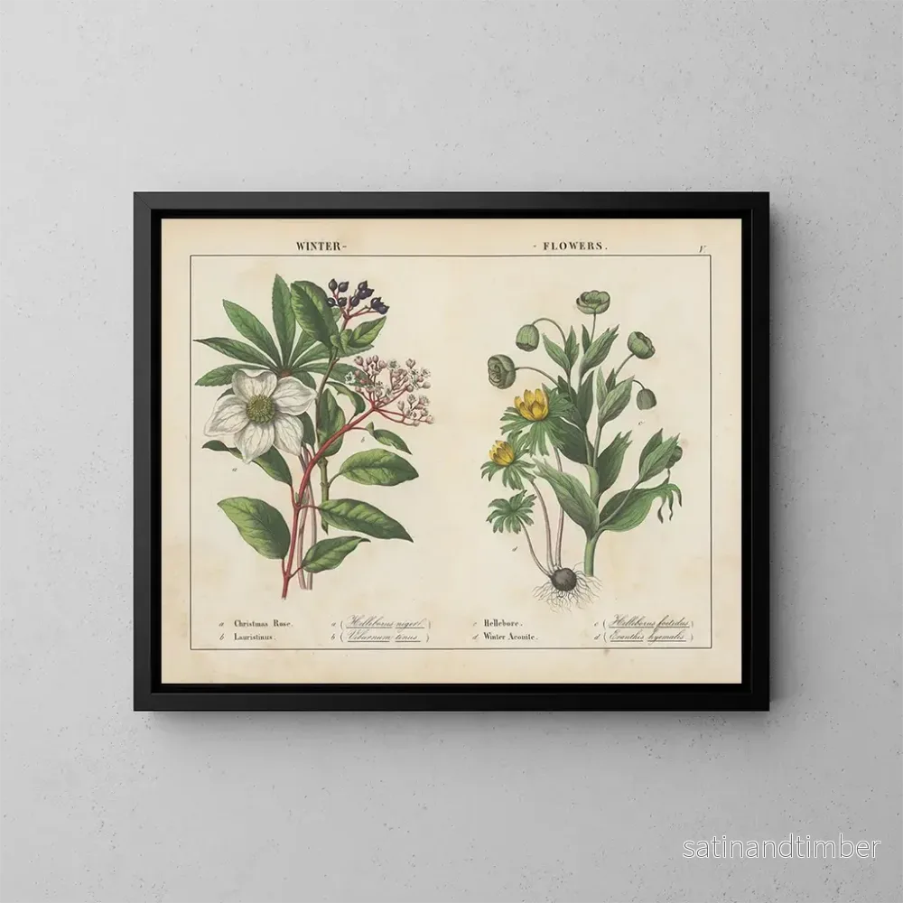 Reproduktion av målningen Vinterblommor - Charlotte Mary Yonge