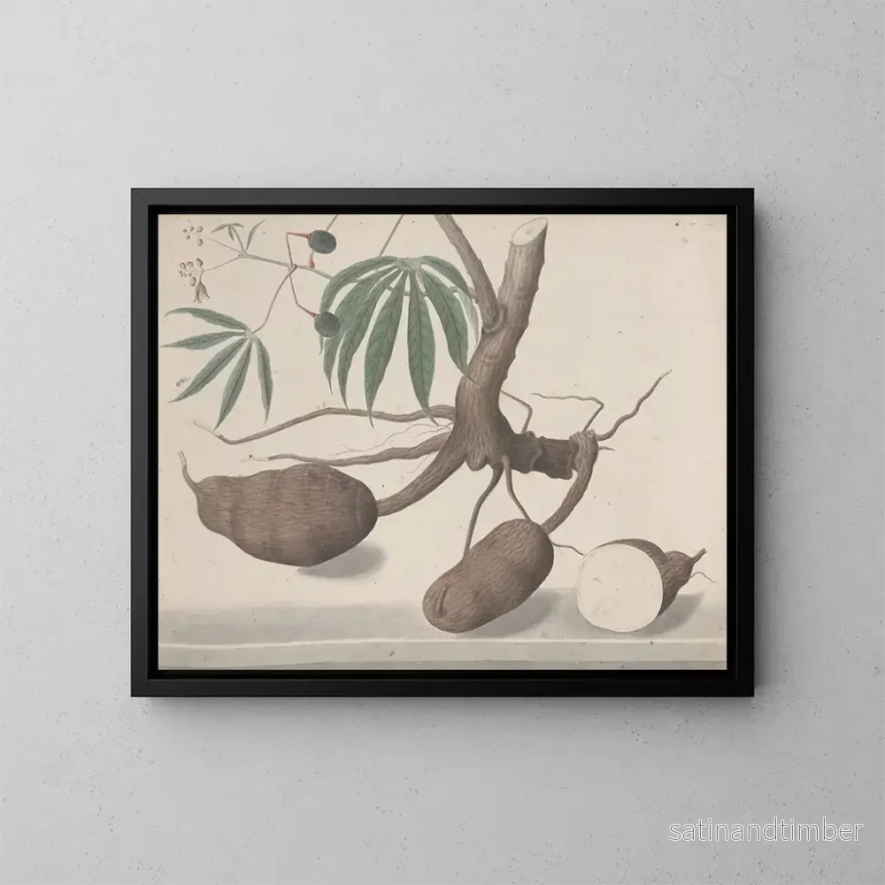 Reproduktion av målningen Histoire naturelle de Saint-Domingue Pl147 - René de Rabi