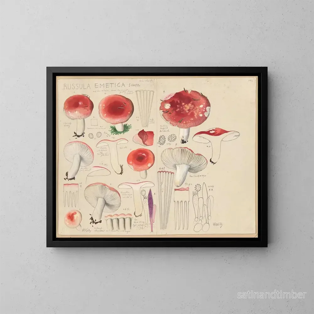 Reproduktion av målningen Russula emetica - Hans Baldung