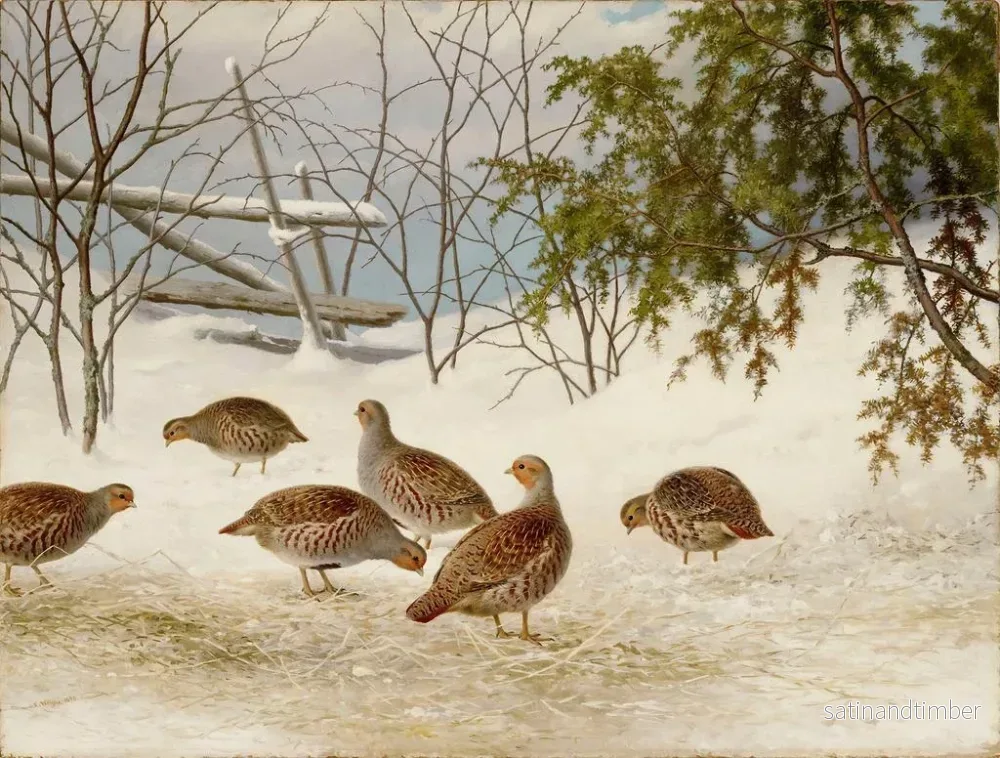 Reproduktion av målningen Perdreaux dans la neige - Ferdinand von Wright - Bild 2