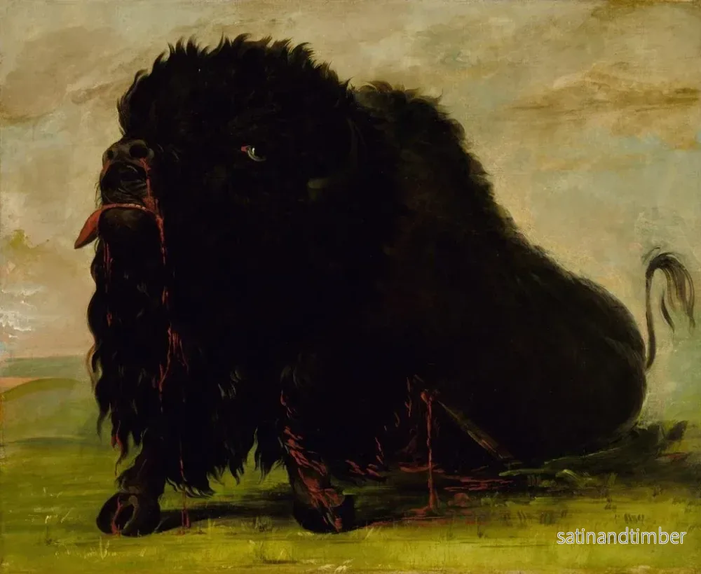 Reproduktion av målningen av Bison som dör träffad av en pil - George Catlin - Bild 2