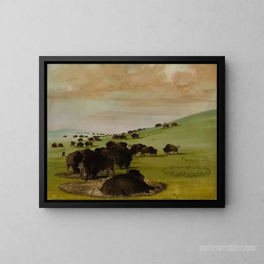 Reproduktion av målningen Bisons i ett vattengropp - George Catlin