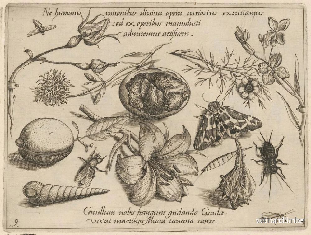 Reproduktion av målningen av arketyp och studier av fadern Georgius Hoefnagel Pl37 - Joris Hoefnagel - Bild 2