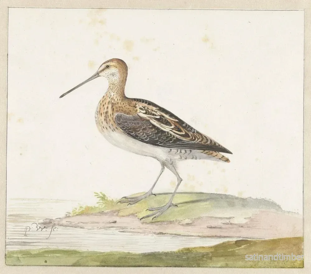 Reproduktion av målningen Bécassine - Pieter Withoos - Bild 2