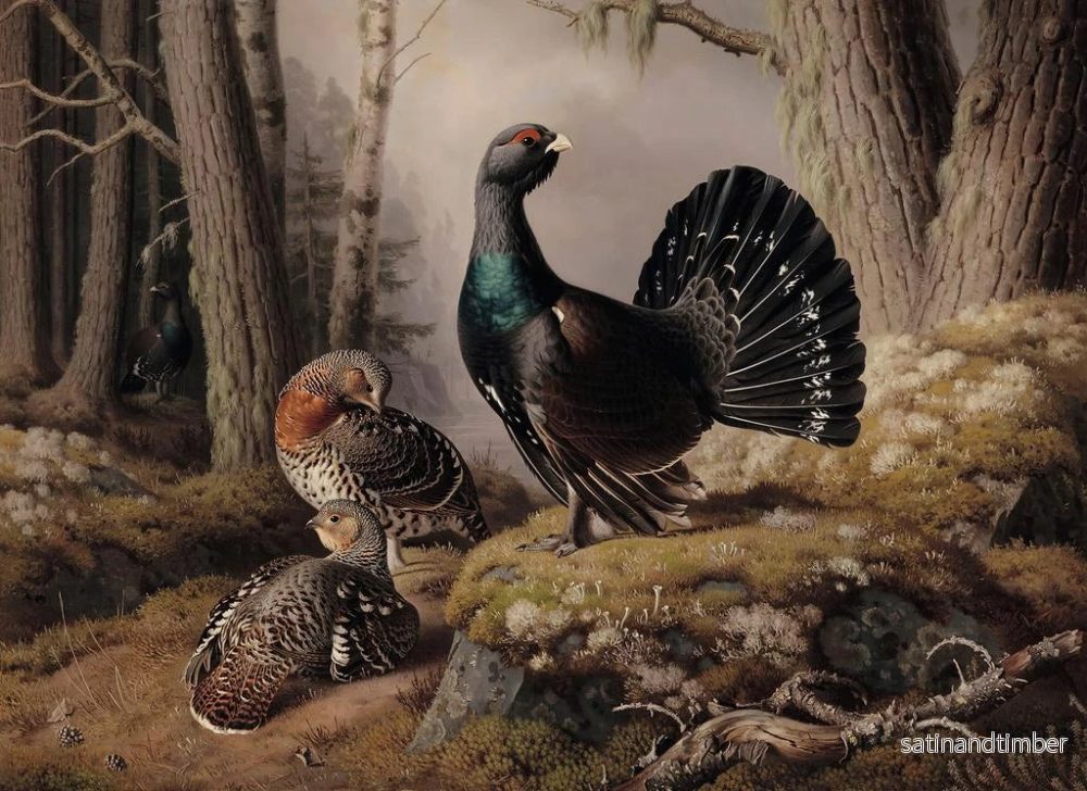 Reproduktion av målningen Le Couronnement des tétras - Ferdinand von Wright - Bild 2